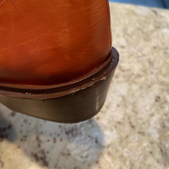 DOLCE  VITA   Very soft leather ankle zip booties - Picture 5 of 5